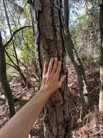 191.95 Ac US Highway 90 Highway, Crestview, FL 32539