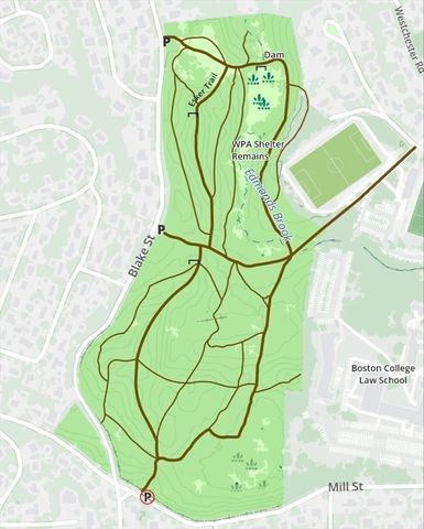 47 Blake 47, Newton, MA 02460