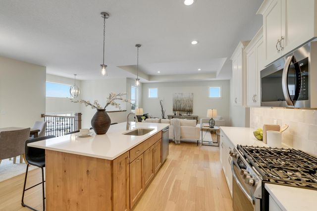 1225 136th Street E, Rosemount, MN 55068
