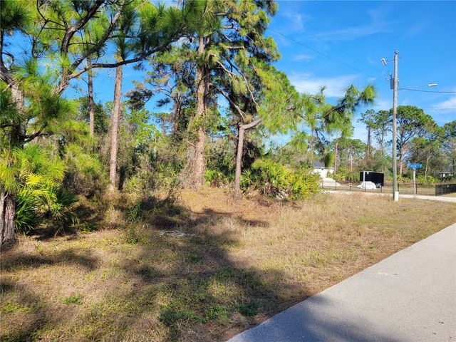 236 PINOLA AVENUE S, Lehigh Acres, FL 33974