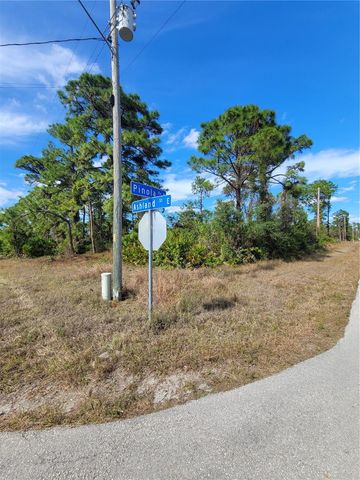 236 PINOLA AVENUE S, Lehigh Acres, FL 33974