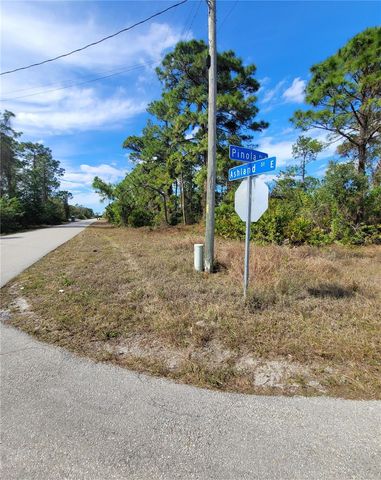 236 PINOLA AVENUE S, Lehigh Acres, FL 33974