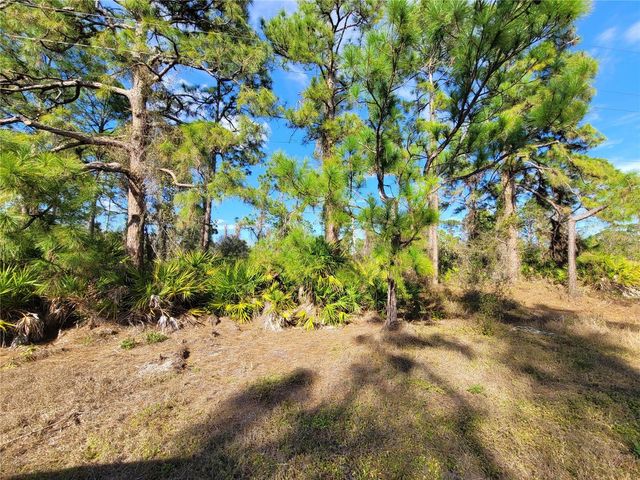 236 PINOLA AVENUE S, Lehigh Acres, FL 33974