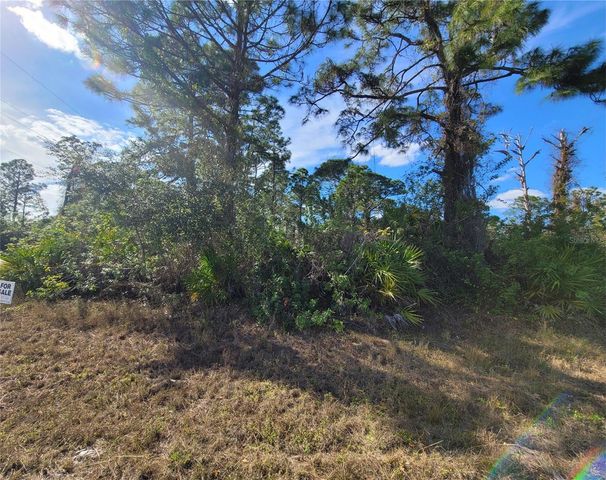 236 PINOLA AVENUE S, Lehigh Acres, FL 33974