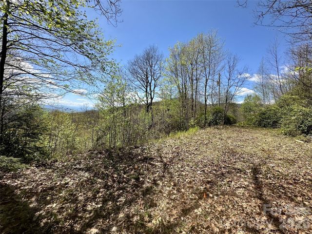 00 Aquina Mountain Mountain H, Maggie Valley, NC 28751