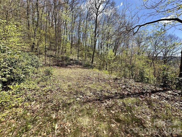 00 Aquina Mountain Mountain H, Maggie Valley, NC 28751
