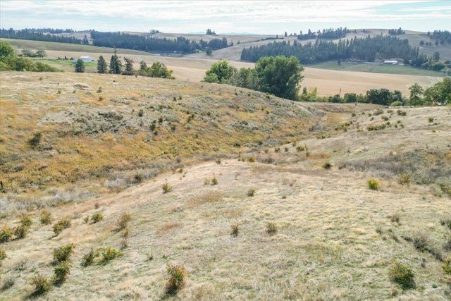 10990 S Fruit. Appx St, Spokane, WA 99223