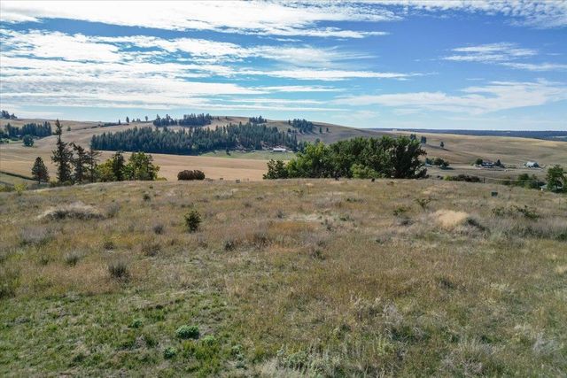 10990 S Fruit. Appx St, Spokane, WA 99223