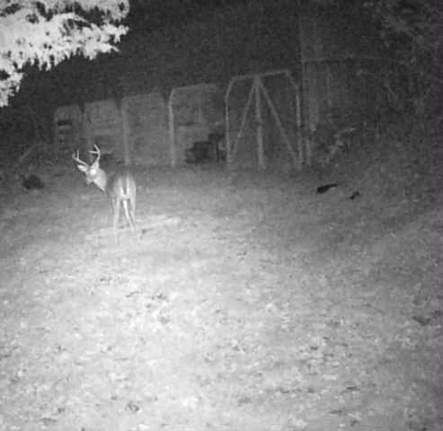 51 Turkeytown Rd, Hilham, TN 38568