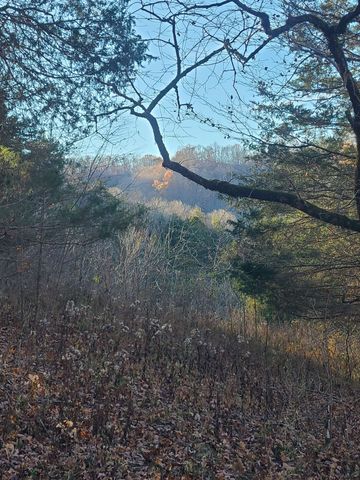 51 Turkeytown Rd, Hilham, TN 38568