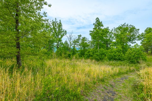0 Sweedens Overlook Lot 177, Jasper, TN 37347
