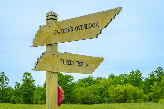 0 Sweedens Overlook Lot 177, Jasper, TN 37347