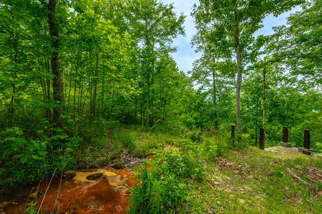 0 Sweedens Overlook Lot 177, Jasper, TN 37347