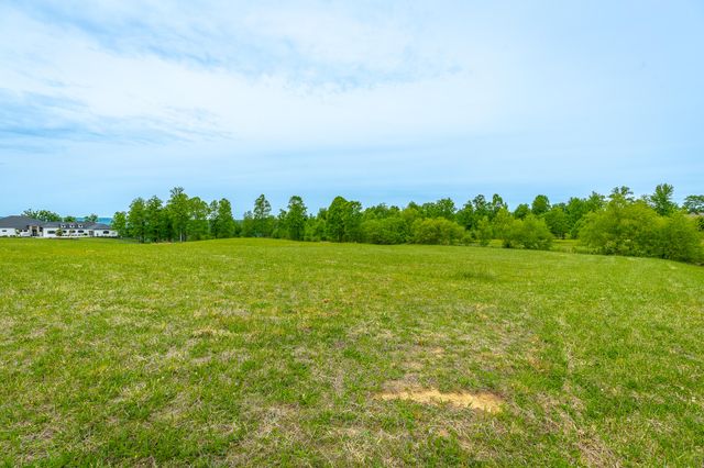 0 Sweedens Overlook Lot 177, Jasper, TN 37347