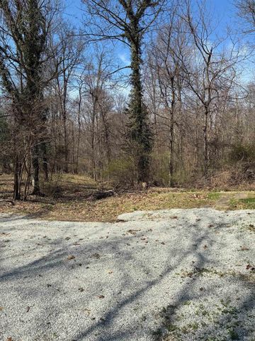 5817 N Rod & Gun Club Road, Bruceville, IN 47516