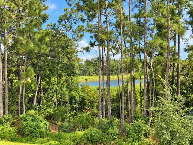 5232 PRAIRIE PRESERVE RUN, St Cloud, FL 34772