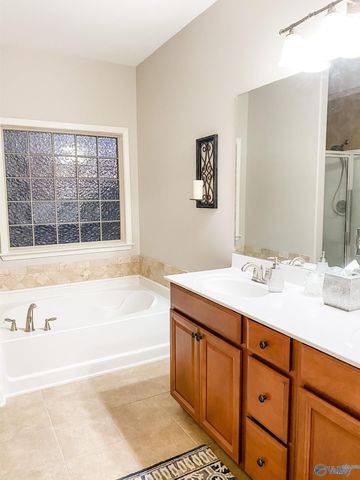 266 New Bristol Lane, Madison, AL 35756