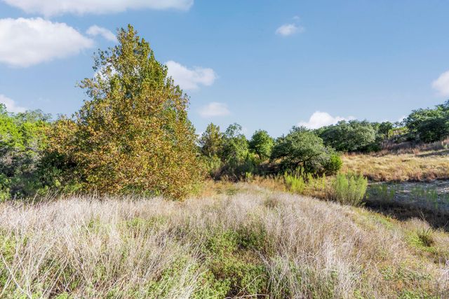 2021 Stagecoach Ranch RD, Dripping Springs, TX 78620