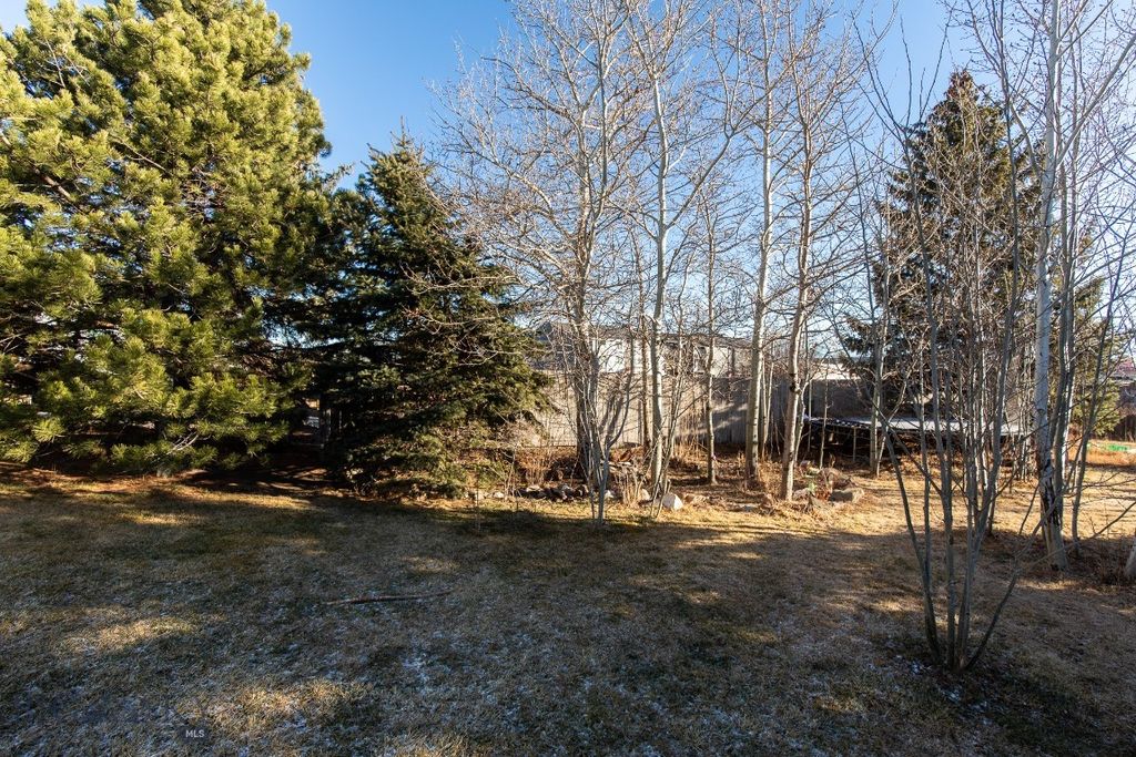 94 Willow Drive, Livingston, MT 59047 photo 13