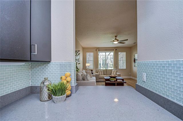 6801 LOCKINGTON COURT, Tampa, FL 33625