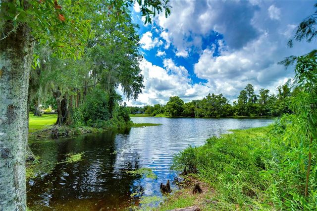 6801 LOCKINGTON COURT, Tampa, FL 33625