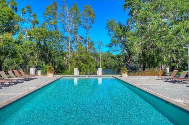 6801 LOCKINGTON COURT, Tampa, FL 33625