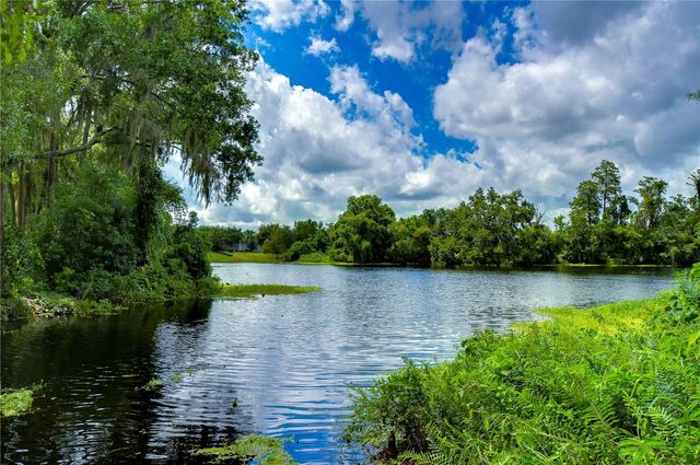6801 LOCKINGTON COURT, Tampa, FL 33625