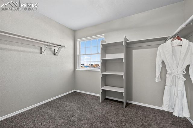 11280 Allendale Drive, Peyton, CO 80831