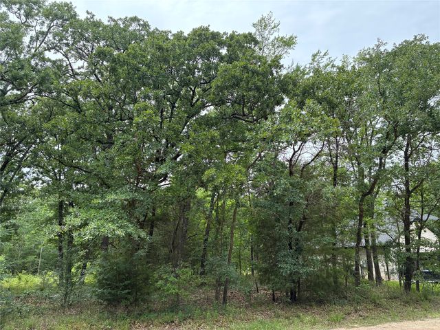 TBD Drift Wood Drive, Trinidad, TX 75163