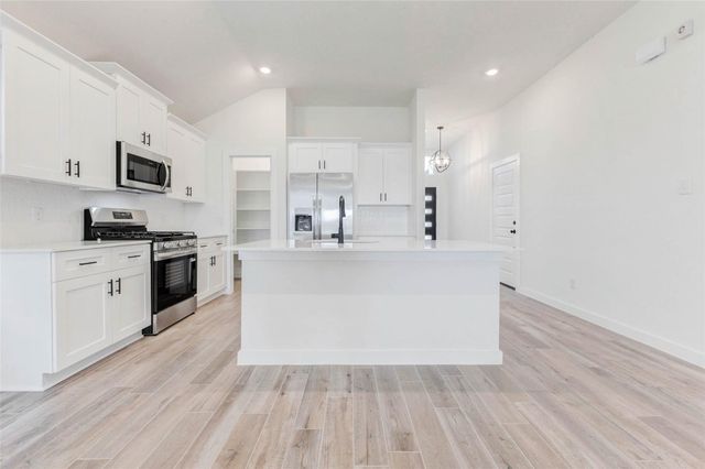 3506 Windmill Palm Drive, Manvel, TX 77584