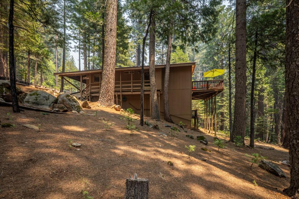 3046 Tahos Dr, Dorrington, CA 95223