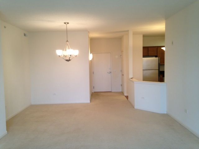 190 W Johnson Street 305, Palatine, IL 60067