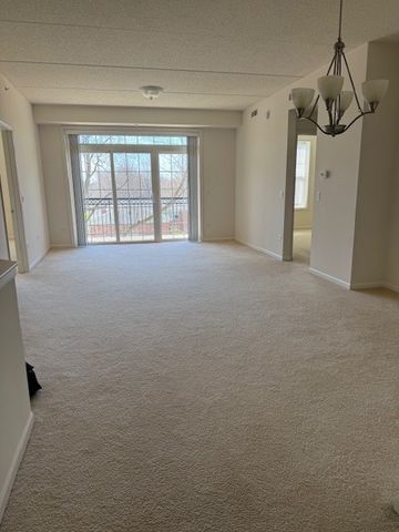 190 W Johnson Street 305, Palatine, IL 60067