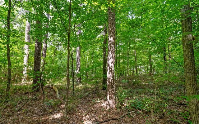 Lot 2 Franklin Drive, Chattanooga, TN 37421
