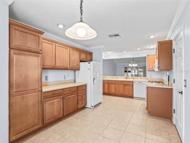 485 MALLORY HILL DRIVE, The Villages, FL 32162