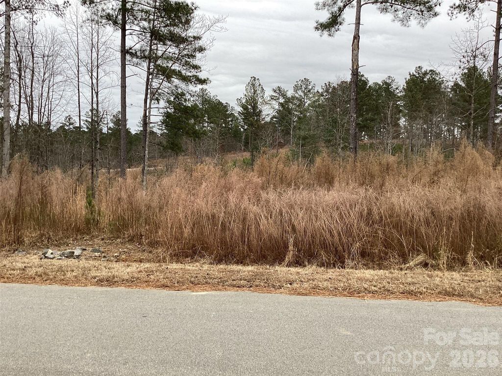 2146 Pikes Peak Ridge 154, Connelly Springs, NC 28612