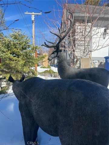 833 Talmadge, Big Bear Lake, CA 92315