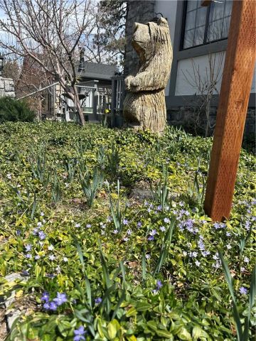 833 Talmadge, Big Bear Lake, CA 92315