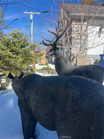 833 Talmadge, Big Bear Lake, CA 92315