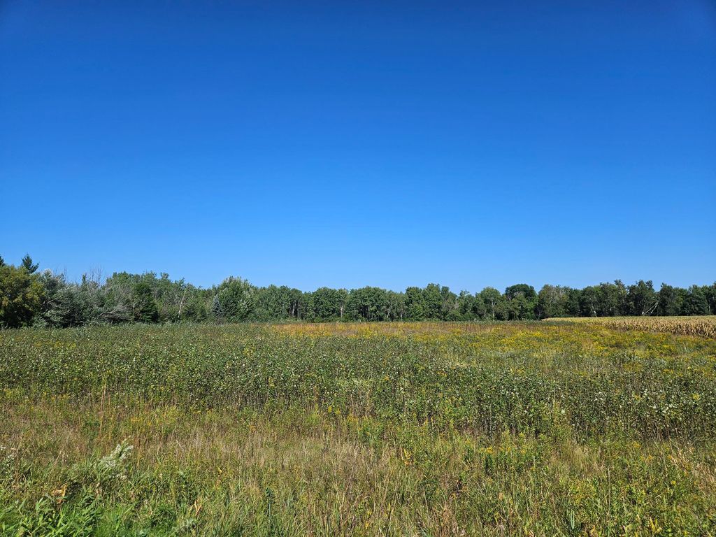 xxxx 313th Avenue, Princeton, MN 55371 — exterior