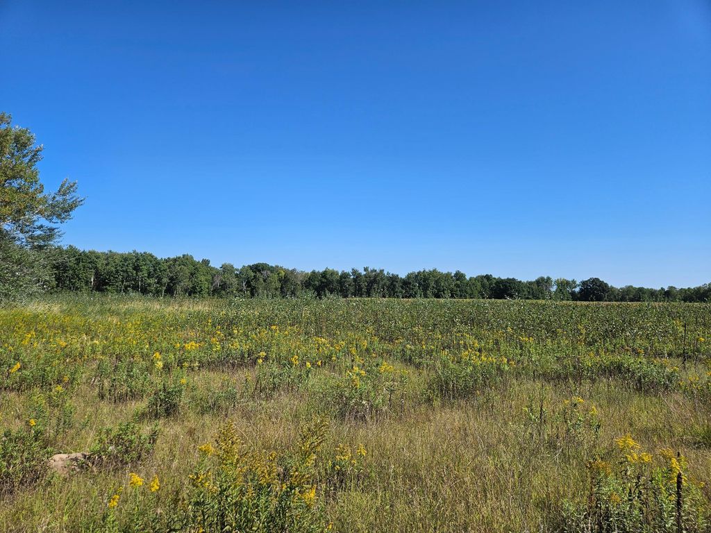 xxxx 313th Avenue, Princeton, MN 55371 — photo 2