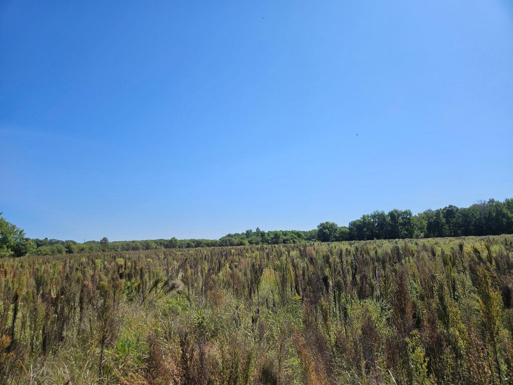 xxxx 313th Avenue, Princeton, MN 55371 — photo 3