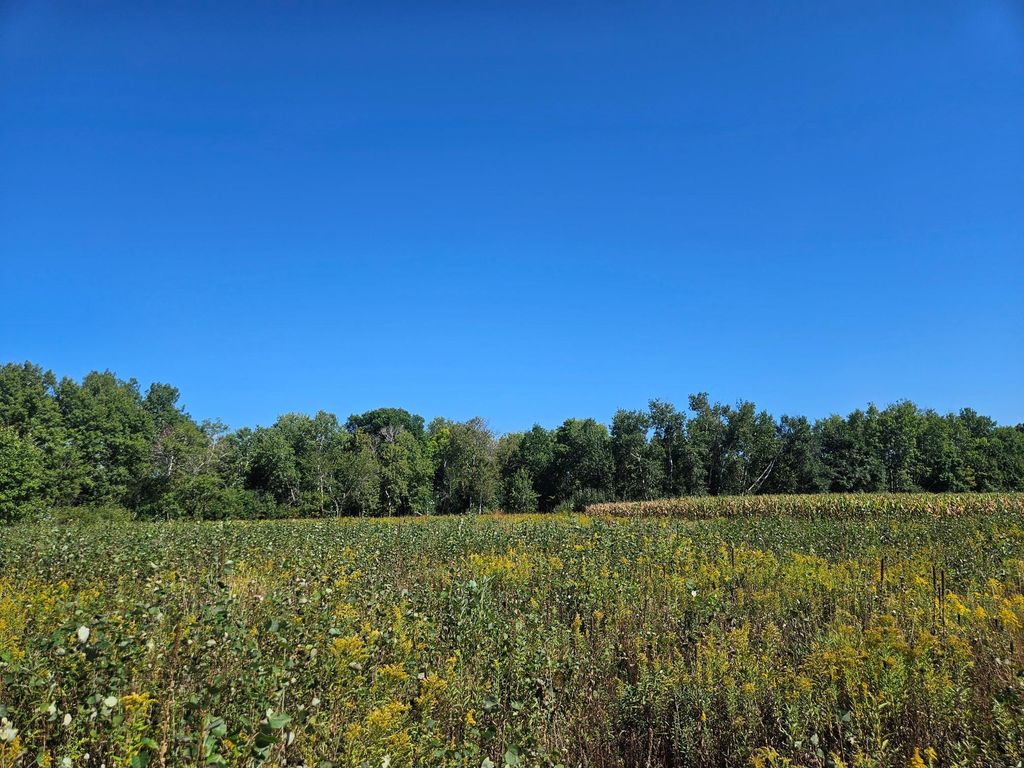 xxxx 313th Avenue, Princeton, MN 55371 — photo 4