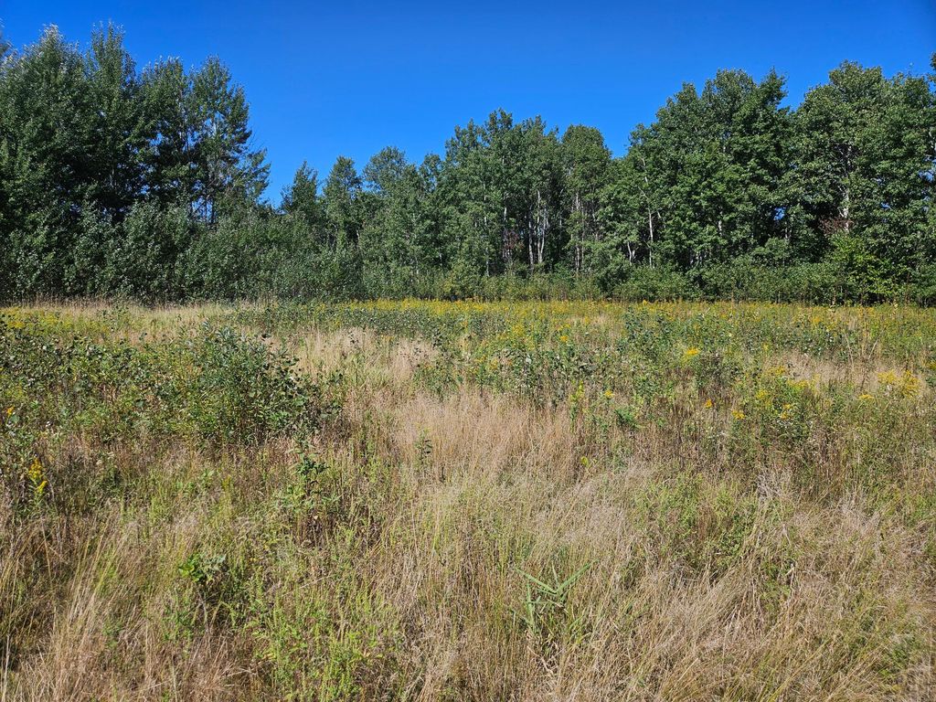 xxxx 313th Avenue, Princeton, MN 55371 — photo 5