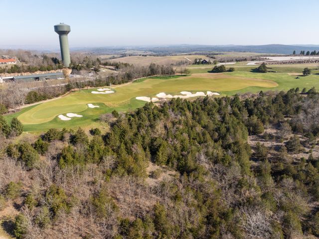 157 N Tuscany Drive, Hollister, MO 65672