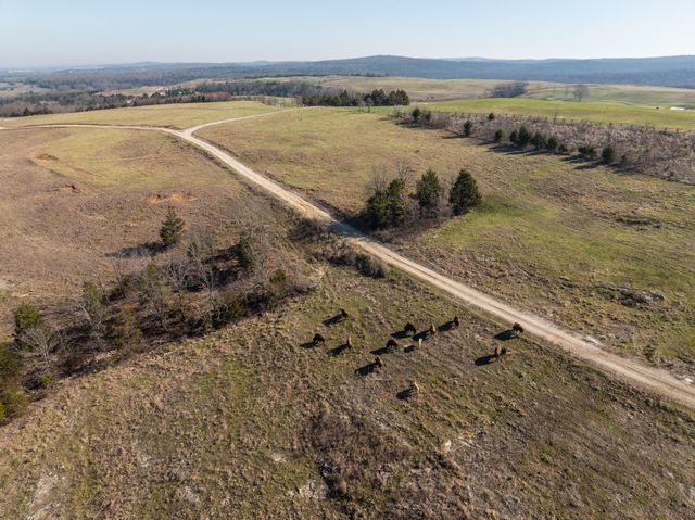 157 N Tuscany Drive, Hollister, MO 65672