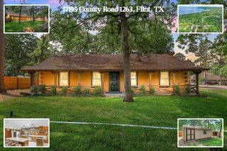 17195 Cherokee Trail, Flint, TX 75762