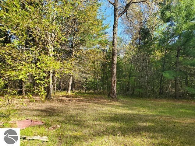 4022 Chippewa Trail, Hale, MI 48739