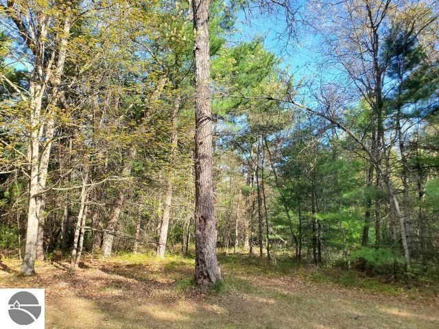 4022 Chippewa Trail, Hale, MI 48739