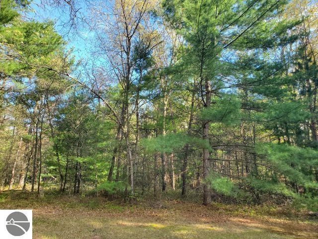 4022 Chippewa Trail, Hale, MI 48739